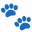 Paw Paw Icon